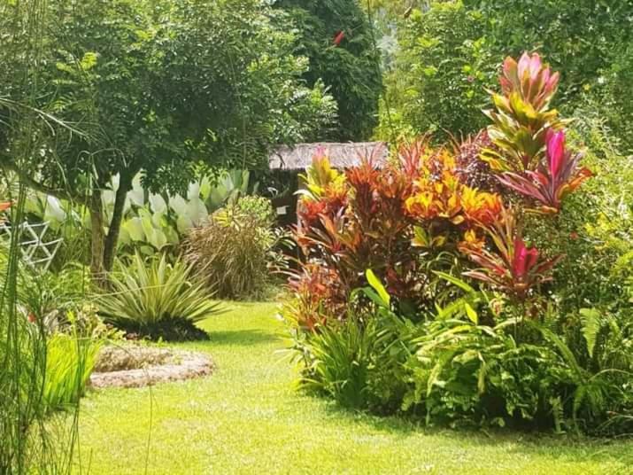 Thousand Hills Ketambe ,Room And Treking Lhokuenam Exterior foto